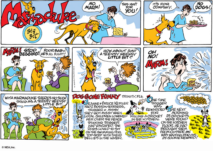 marmaduke